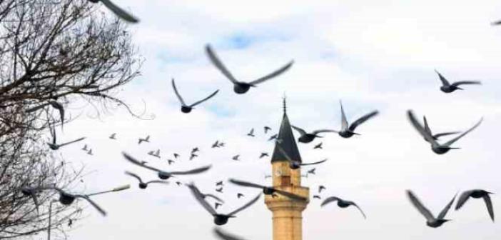 Erzurum’da bin 601 cami bulunuyor
