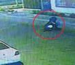 Motosiklet hırsızı iş başında