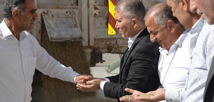 Mardin’de sezonun ilk arpa hasadı yapıldı, çiftçiye altın hediye edildi