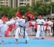 Diyarbakır’da 19 Mayıs, halk oyunları ve milli sporcuların gösterileriyle kutlandı