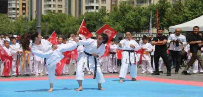 Diyarbakır’da 19 Mayıs, halk oyunları ve milli sporcuların gösterileriyle kutlandı