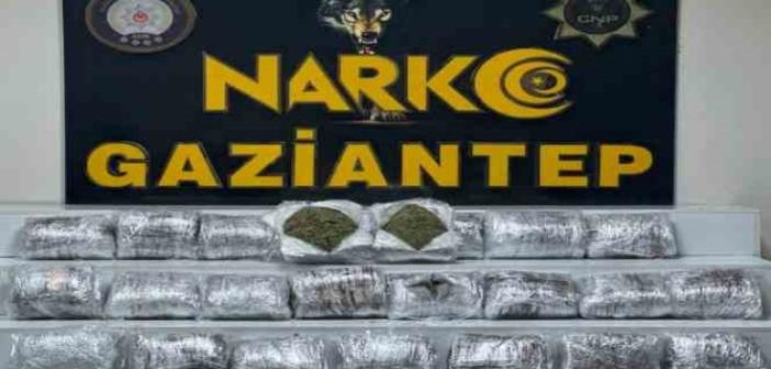 Gaziantep’te 24 kilo skunk ele geçirildi
