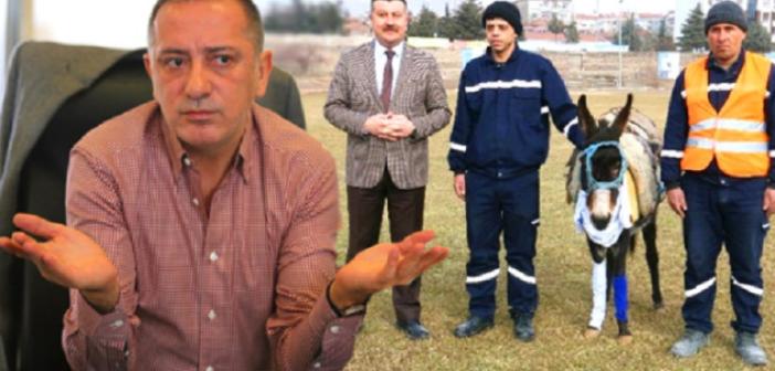 AYD’den Fatih Altaylı'nın 'Merzifon Eşeği' benzetmesine kınama