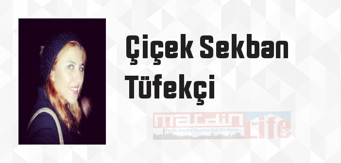 Ari - Çiçek Sekban Tüfekçi Kitap özeti, konusu ve incelemesi
