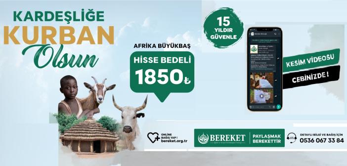 Bereket Derneği vacip kurban bağışı bedelini duyurdu
