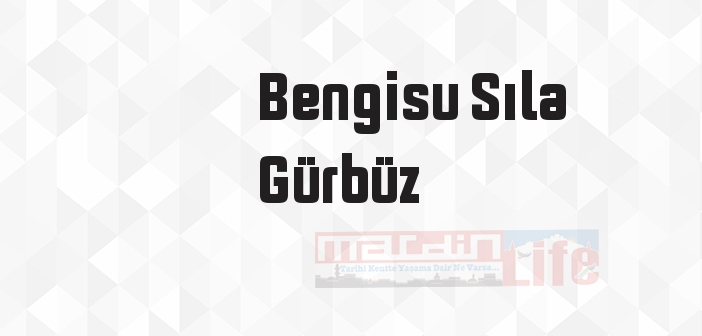 Erkek Lisesi - Bengisu Sıla Gürbüz Kitap özeti, konusu ve incelemesi