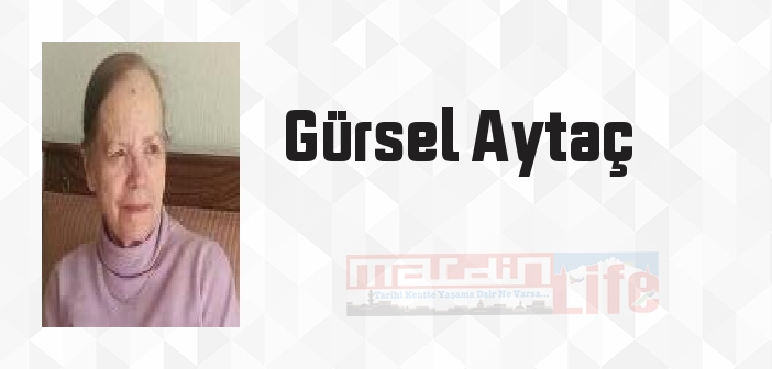 Karşılaştırmalı Edebiyat Bilimi - Gürsel Aytaç Kitap özeti, konusu ve incelemesi