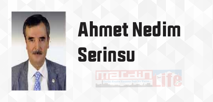 Okurluk Üstüne - Ahmet Nedim Serinsu Kitap özeti, konusu ve incelemesi