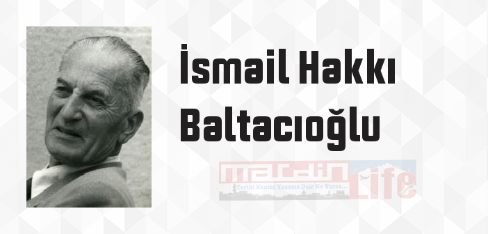 Türke Doğru - İsmail Hakkı Baltacıoğlu Kitap özeti, konusu ve incelemesi