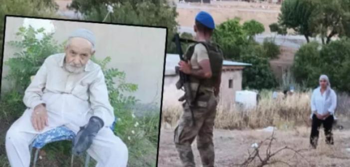 Sokak köpekleri bir cana daha neden oldu
