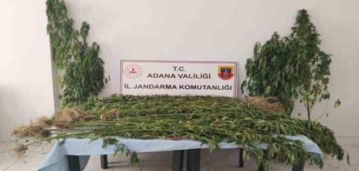 Adana’da uyuşturucu ile mücadele 14 şahıs yakalandı