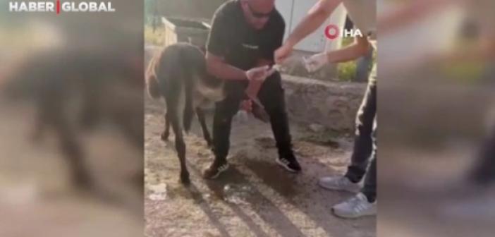 Mardinli başhekimin duyarlılığı alkış aldı