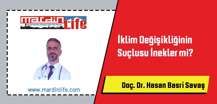 İklim Değişikliğinin Suçlusu İnekler mi?