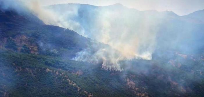 Siirt’teki orman yangını 52 saatin sonunda söndürüldü