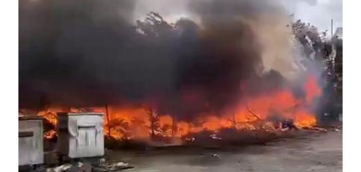 Avcılar’da serada çıkan yangın paniğe neden oldu