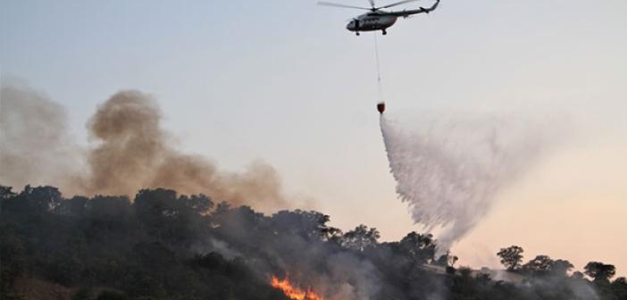 25 hektar ormanlık alanını yok eden yangının sebebi araştırılıyor