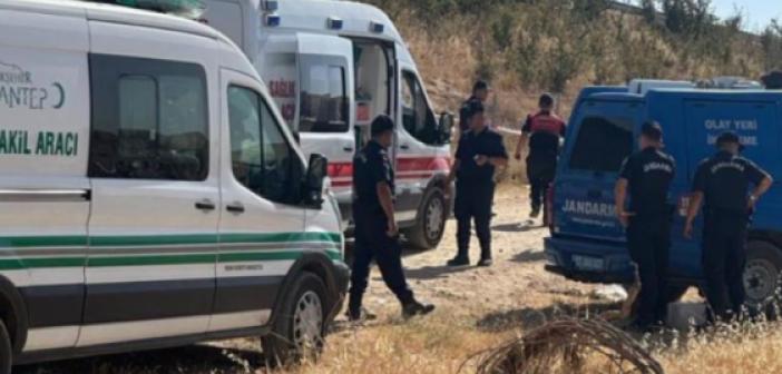 Gaziantep'te bir arazide köpekler tarafından parçalanmış bebek cesedi bulundu