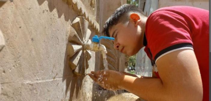 Mardin, Şırnak ve Diyarbakır'da  Basra sıcakları olumsuz etkiledi