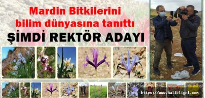 Rektör adayı Prof. Dr. Akan: Mardin İlinin Bitkilerini Bilimsel Makalelerle bilim dünyasına tanıttı