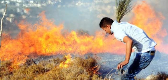 Uzmanı uyardı: Atık bataryalar orman yangınlarına neden oluyor