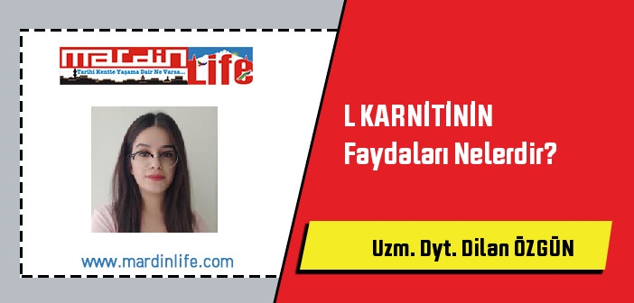 L KARNİTİNİN Faydaları Nelerdir?