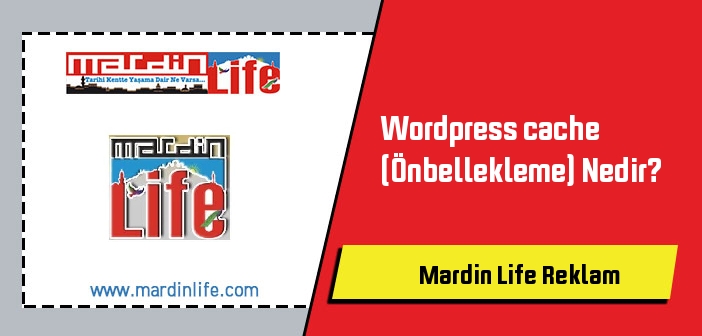 Wordpress cache (Önbellekleme) Nedir?