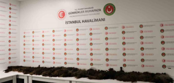 İstanbul’da İnsan saçı kaçakçılarına gümrük muhafaza engeli