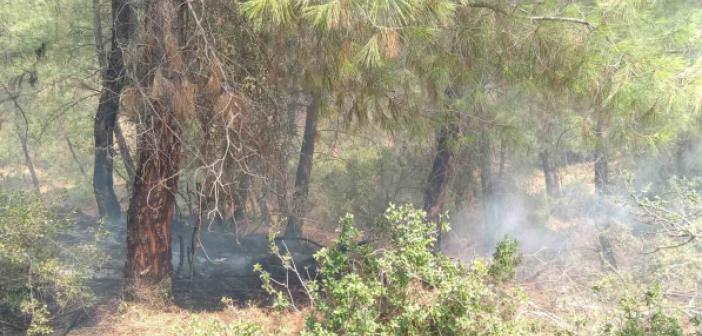 Kozan’daki orman yangını kontrol altına alındı