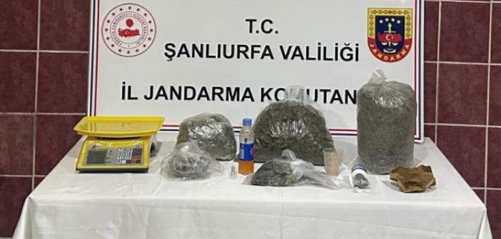 Jandarmadan uyuşturucu operasyonu: 1 gözaltı