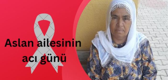 Aslan Ailesini acı günü