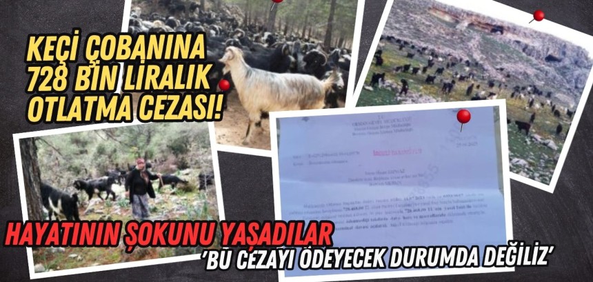 Keçi çobanına 728 bin liralık otlatma cezası!