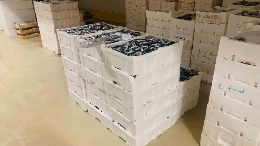 İstanbul’da boy yasağına aykırı avlanan 3 ton istavrit balığına el konuldu