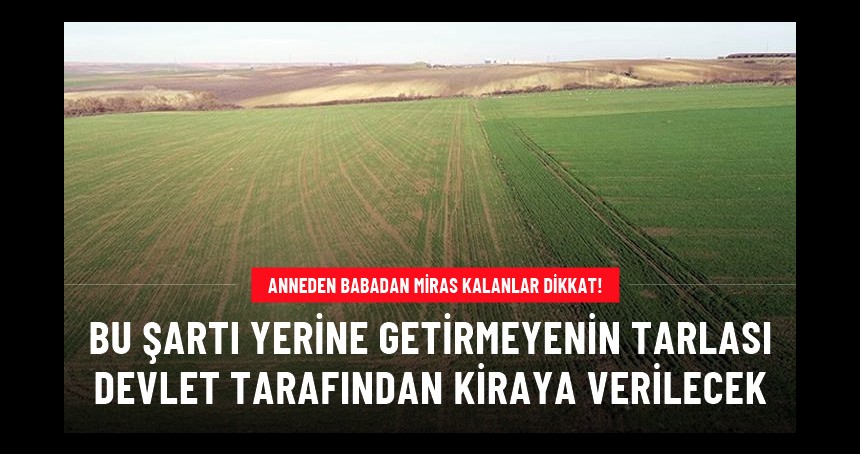 Miras kalan topraklar, 2 yıl atıl halde kalırsa devlet tarafından kiraya verilecek