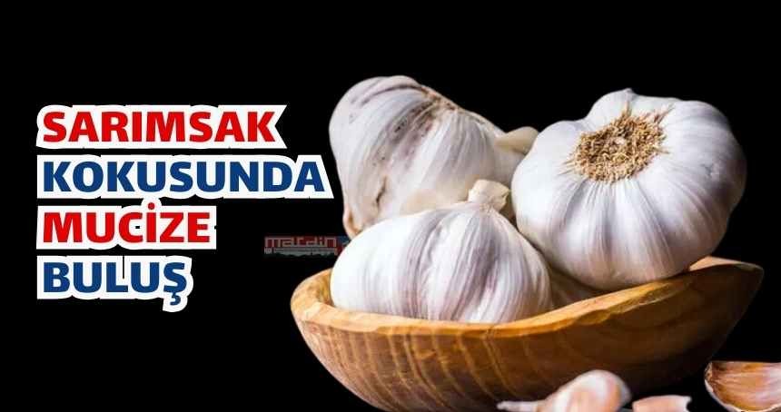Sarımsak kokusuna çözüm bulundu! ARTIK Gönül rahatlığıyla yiyebilirsiniz