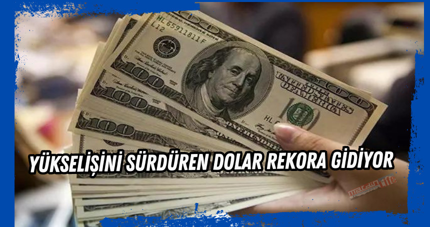 Yükselişini sürdüren dolar rekora gidiyor