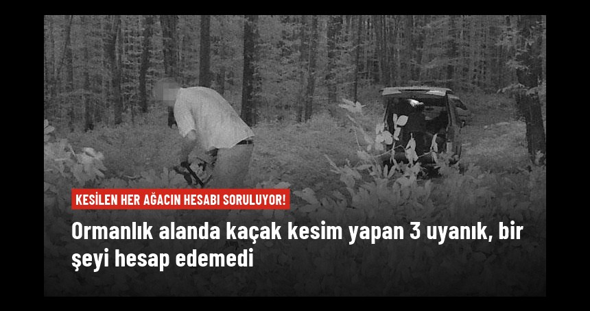 Ormanlık alanda kaçak kesim yapan 3 kişi, fotokapana yakalandı