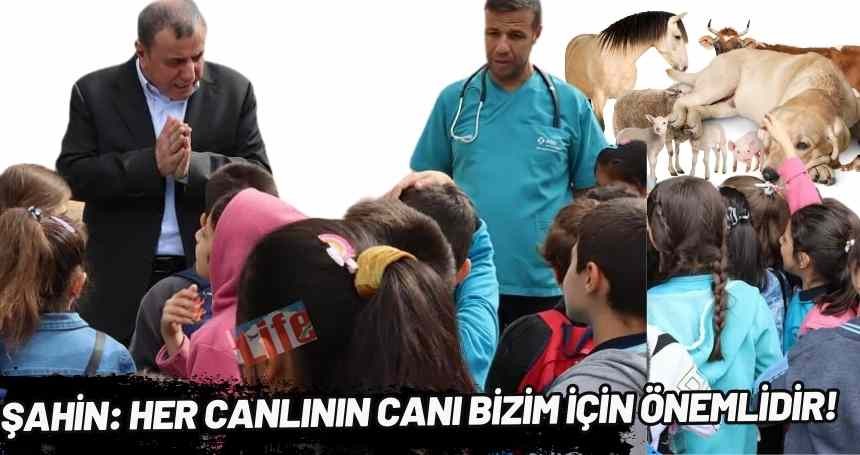 Şahin: Her canlının canı bizim için önemlidir!