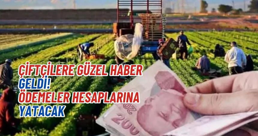 Çiftçilere güzel haber geldi! Ödemeler hesaplarına yatacak