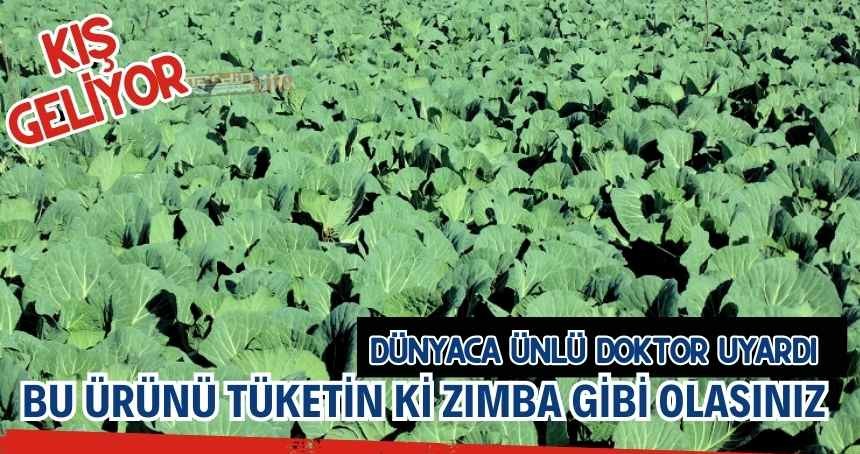 "Kışın gelişi ile tüketin ki ZIMBA gibi olasınız"