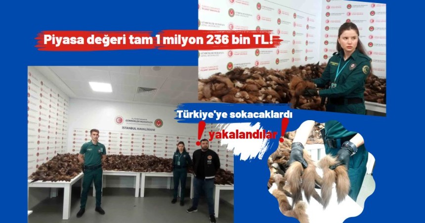 Piyasa değeri tam 1 milyon 236 bin TL!