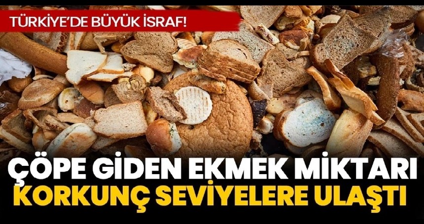 Türkiye'de yılda çöpe giden ekmek miktarı korkunç seviyelere ulaştı