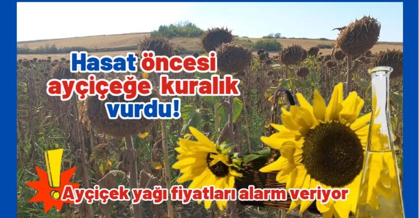 Hasat öncesi ayçiçeğe  kuralık vurdu! Ayçiçek yağı fiyatları alarm veriyor, daha uçacak!