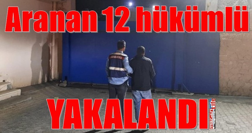 Aranan 12 hükümlü yakalandı