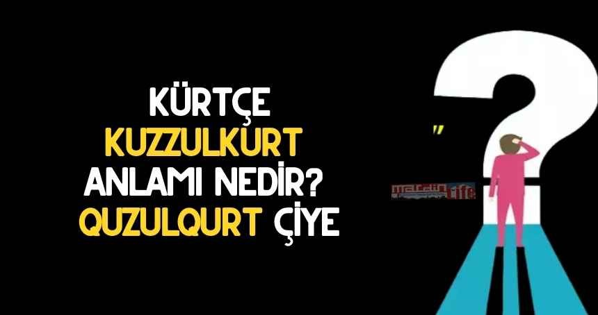 Kuzzulkurt (Quzzulqurt) Kürtçe Ne Demek? Kürtçe Kuzzul kurt Anlamı Nedir? Quzul qurt çiye