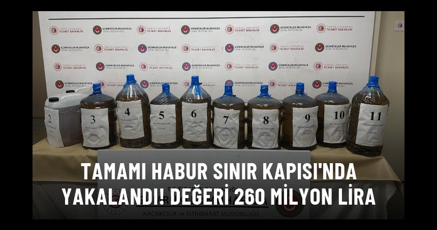 Habur Sınır Kapısı'nda 260 milyon TL değerinde metamfetamin yakalandı