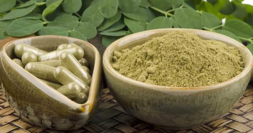 Moringa oleifera'nın Bilimsel 6 Sağlık Faydası