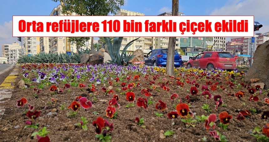 Orta refüjlere 110 bin farklı çiçek ekildi