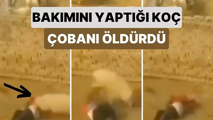 Bakıp beslediği koç çobanı böyle öldürdü! Korku filmlerini andıran anlar kamerada