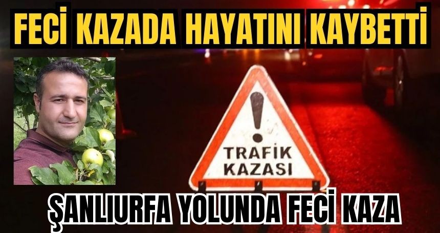 Şanlıurfa Yolunda Otomobil Kazası: Sürücü Hayatını Kaybetti