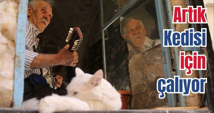 Mardinli Müzisyen artık kedisi için çalıyor